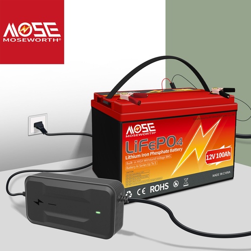 1.2kWh 100Ah - Solar Lithium Battery 12v